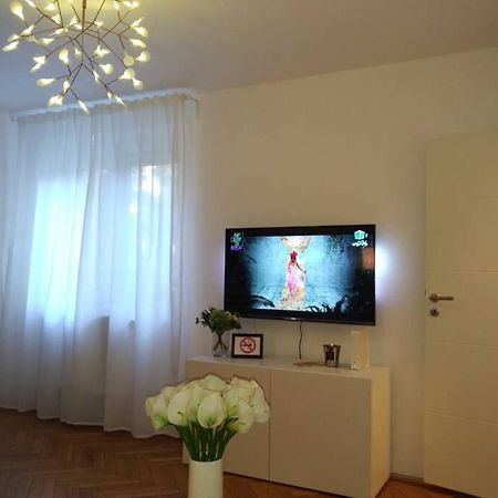 Art & Design Apt - City Center Temeşvar Dış mekan fotoğraf