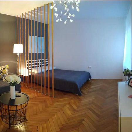 Art & Design Apt - City Center Temeşvar Dış mekan fotoğraf