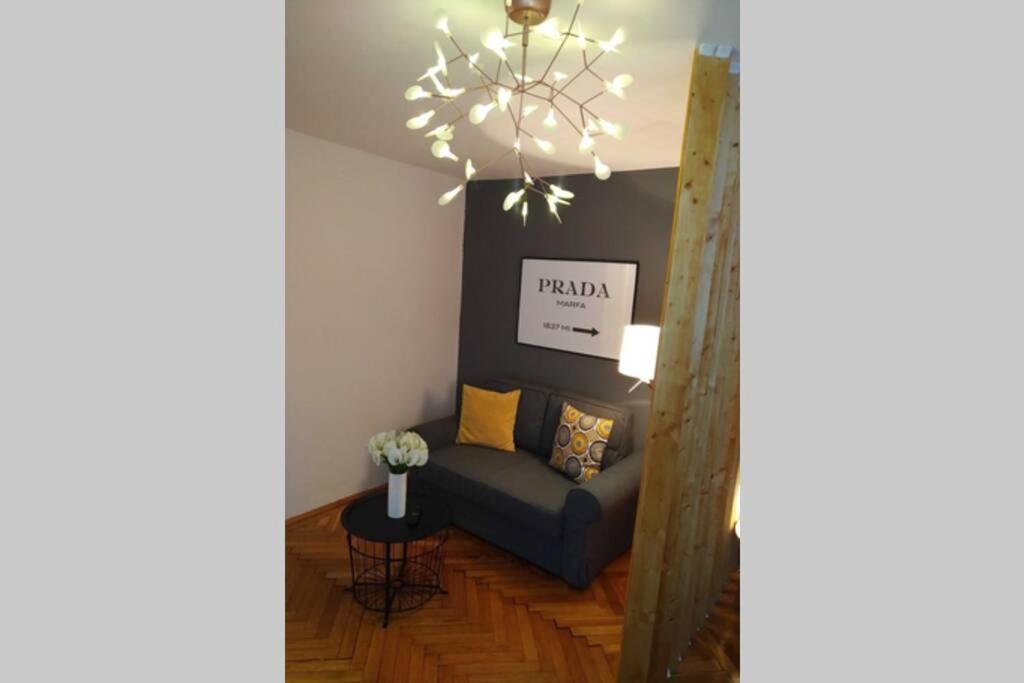 Art & Design Apt - City Center Temeşvar Dış mekan fotoğraf