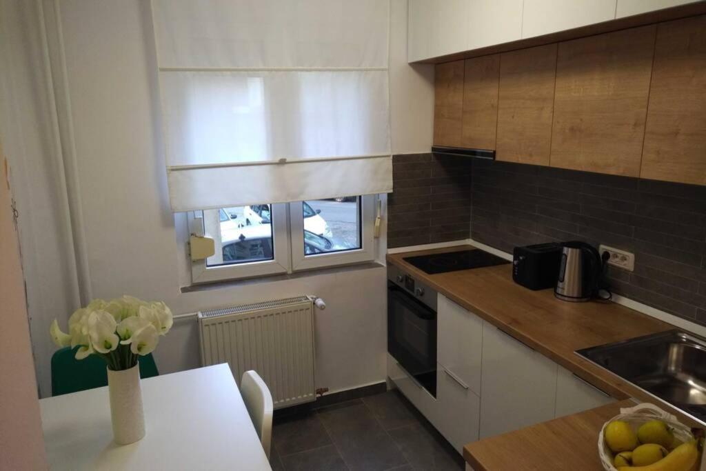 Art & Design Apt - City Center Temeşvar Dış mekan fotoğraf