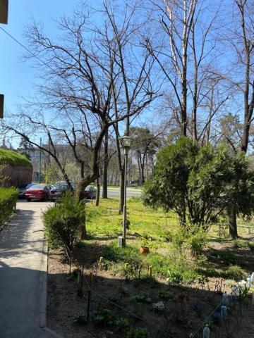 Art & Design Apt - City Center Temeşvar Dış mekan fotoğraf